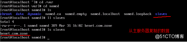 Linux搭建DNS服务