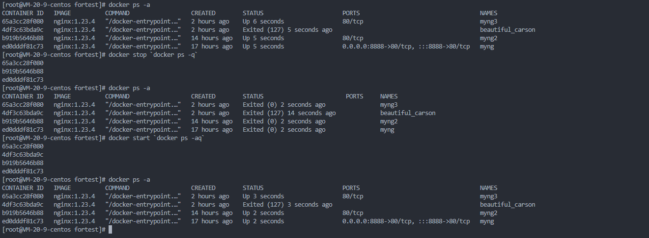 Docker 使用基础（3）—容器_docker --cpus