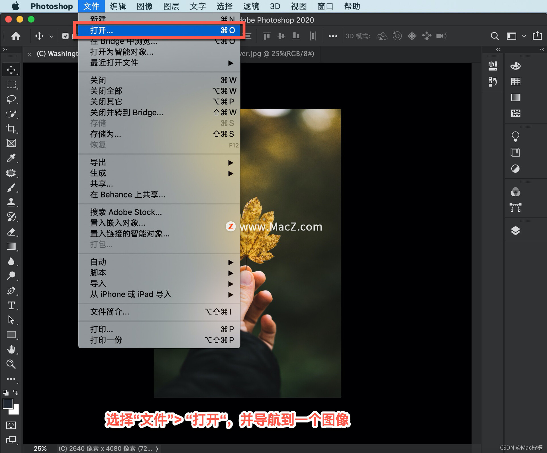 在这里插入图片描述