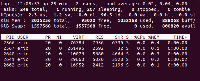 Output from top -U eric in a terminal window