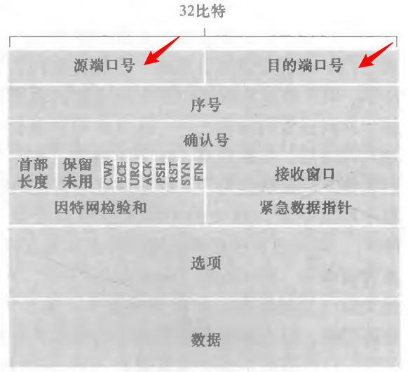 TCP报文段结构
