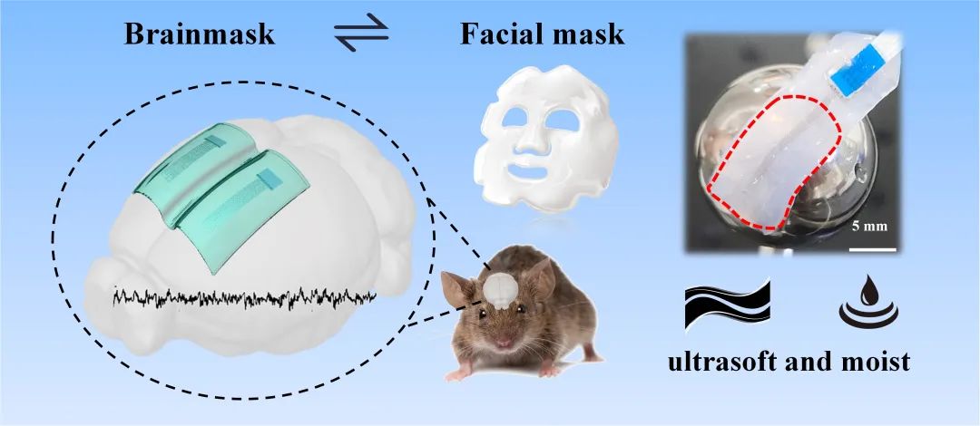 电极保湿片怎么用“脑膜”——类似面膜，超柔高精，保湿持久的大脑皮层电极_https://www.jmylbn.com_新闻资讯_第4张