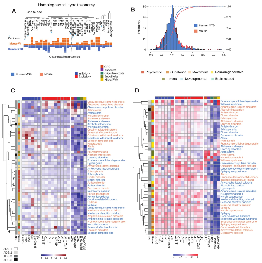 图片 Plos Biology | 40种人类常见脑部疾病转录组学分析,提供基于分子的疾病分类和比较新策略_分类_05
