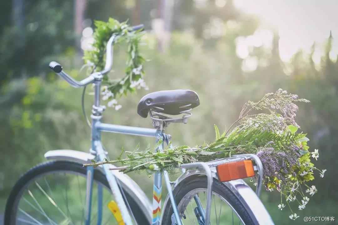 夏至 | 心怀热忱，认真生活 ;不负时光，不负自己