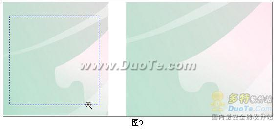 CorelDRAW绘制出来的斑马活灵活显了 b2b软件 