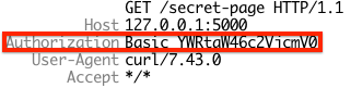 basic auth