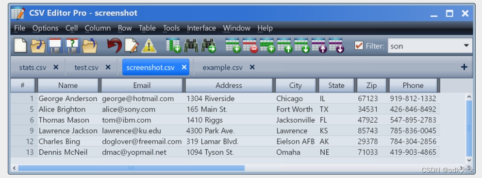 CSV编辑器：CSV Editor Pro 28.0 Crack