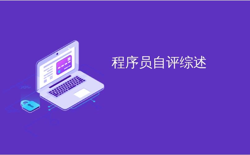 程序员自评综述