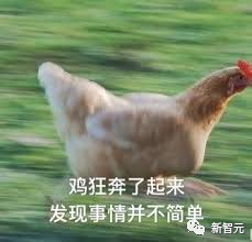 796cffe66d123e12fe938b621e0d602f.png
