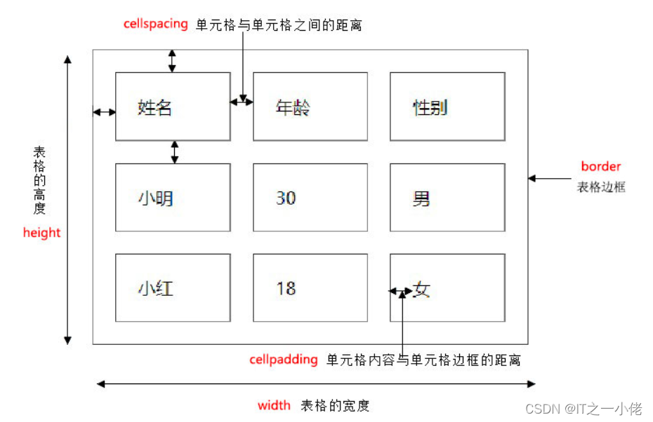 HTML表格详解-CSDN博客