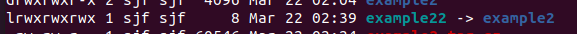 上文提到的ls -l这里可以清楚看到example22的指向实际是example2