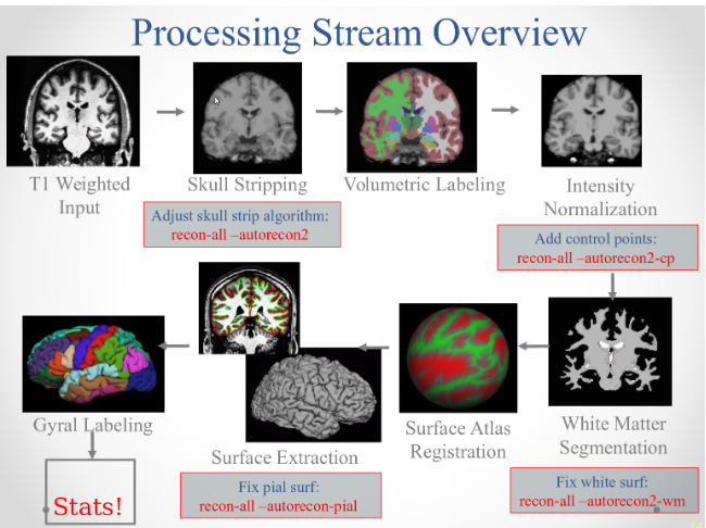freesurfer形态学指标解析_freesurfer t1和brainmask像-CSDN博客