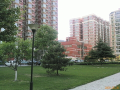 WinCE6.0双雄 酷派N900/魅族M8对比评测