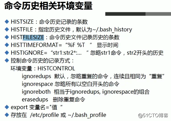 Linux之基础操作