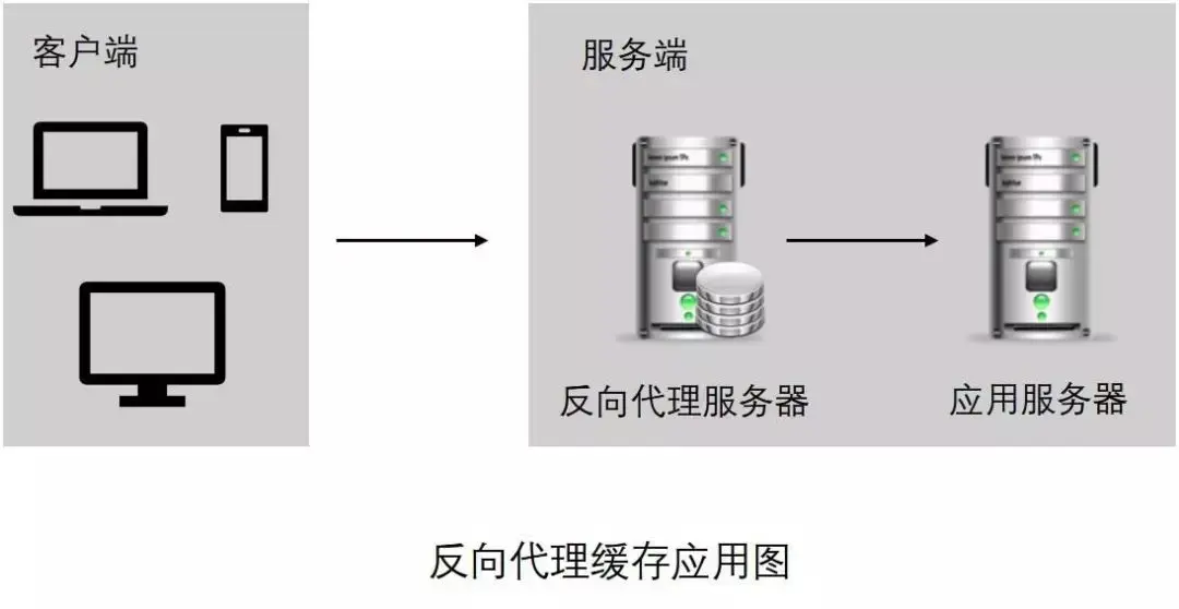 webp