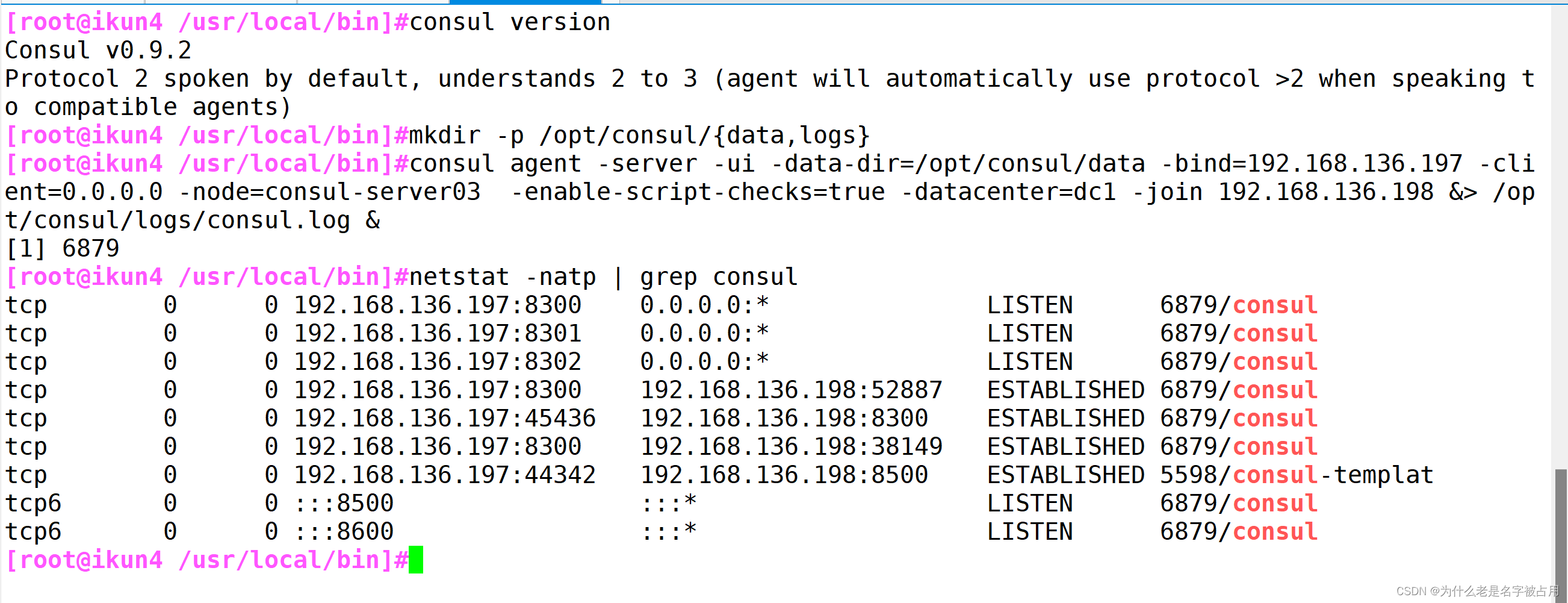 [docker] Docker容器服务更新与发现之consul_c#consul-CSDN博客