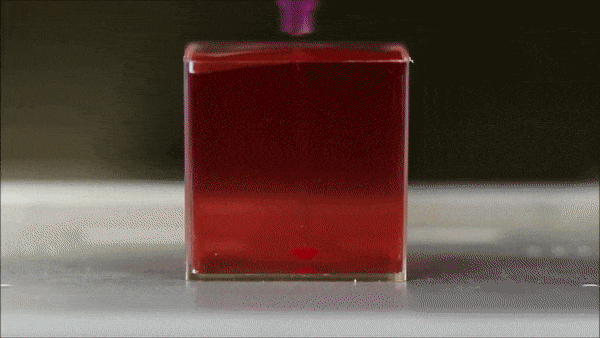 561ae72d24b29c4e2d90b0525029c3f0.gif
