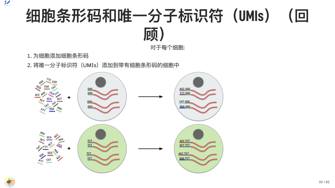 a4cfc979d7b3ad54e03778398fdea6c4.png