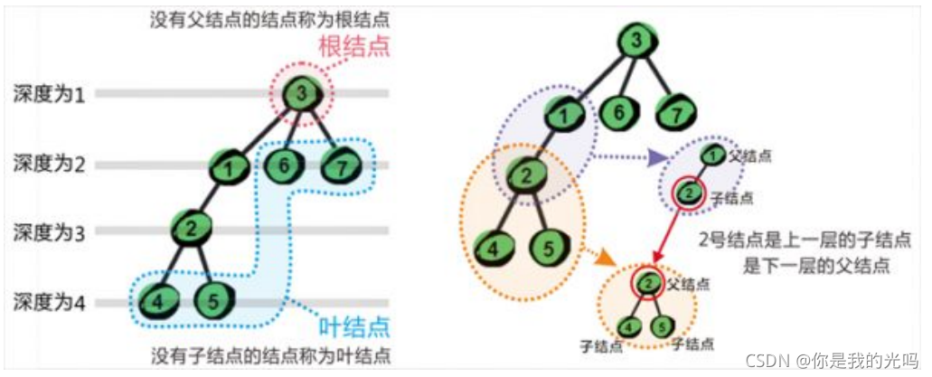 树的图示: