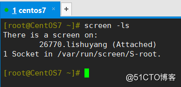 Screen的用途及简单示例