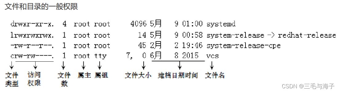 Linux Rwt Linux 文件权限 (上) rwx权限_-rw--------CSDN博客