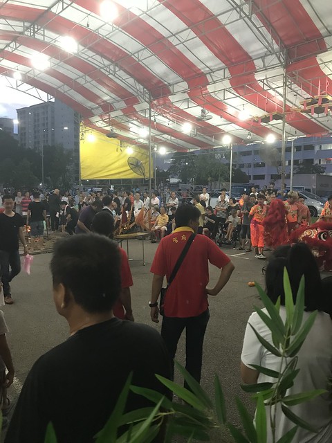Lion dance 1