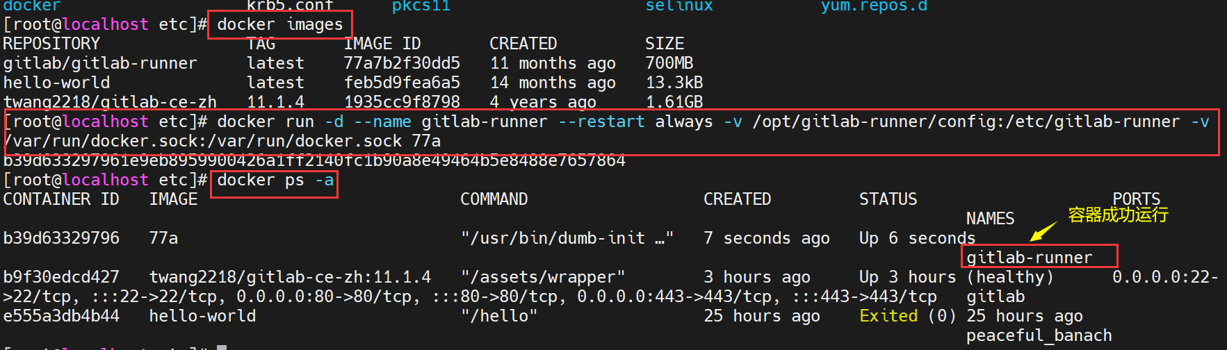 Docker安装Gitlab-ruuner_gitlab-runner docker安装-CSDN博客