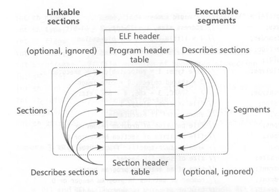 ELF_struct