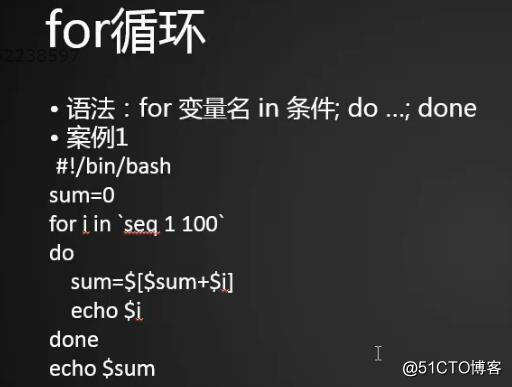 shell3