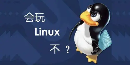 当你觉得大学没学到Linux时的感想