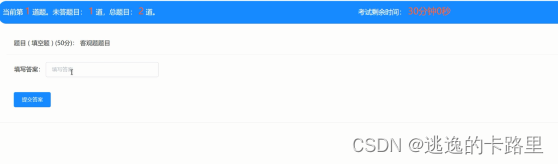 图5-5 考试界面图