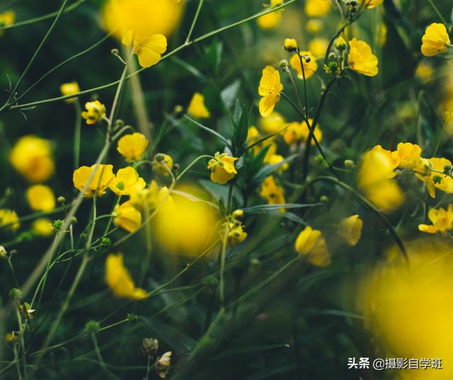 c927a3276bdde92cefa8b0cb964f187e.png