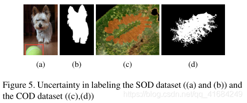 Uncertainty-aware Joint Salient Object and Camouflaged Object Detection ...