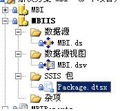 SSIS.JPG