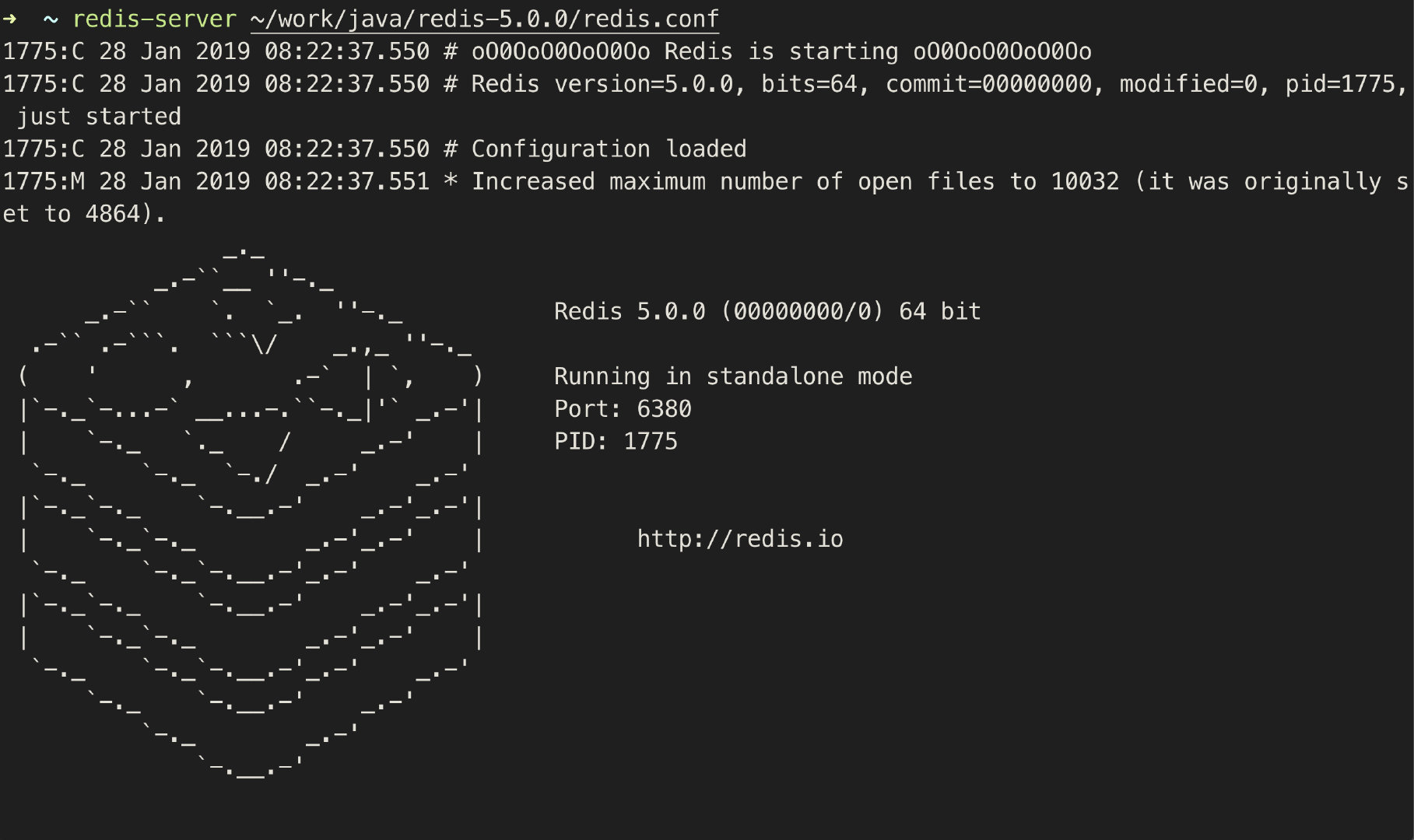 image-20190128082950744