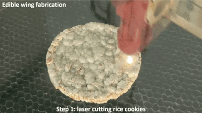 8d3ae2f679396dc325a461f86807e955.gif