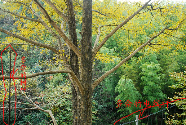 ffa84d3840c98138b9998fd3.jpg
