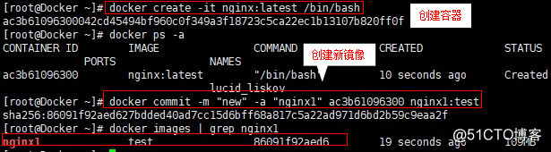 Docker的镜像创建、数据管理及网络通信
