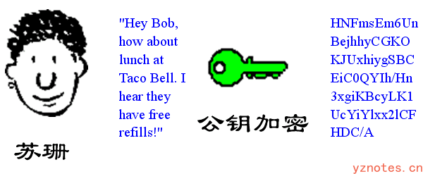一文读懂：密钥-加密算法-数字证书相关概念