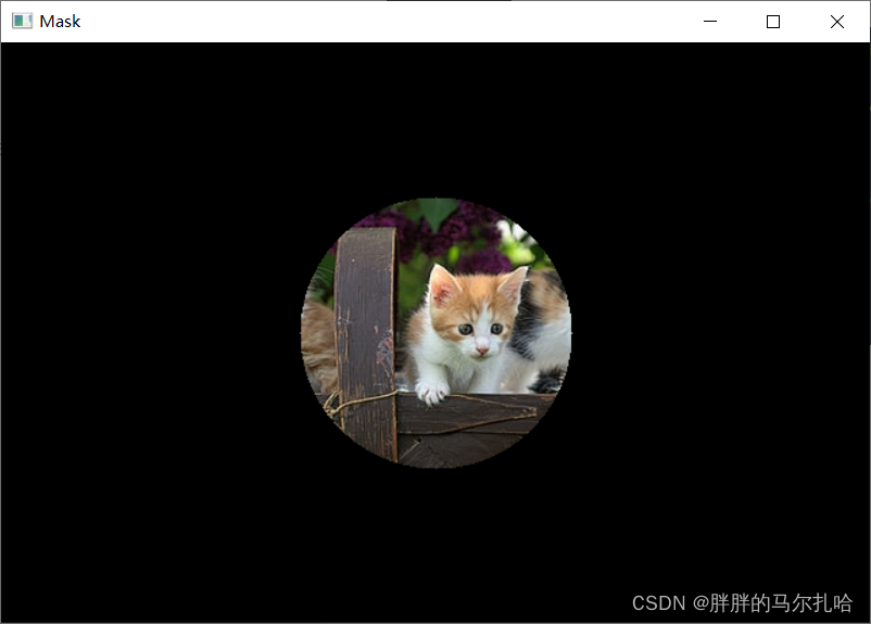 请添加图片描述