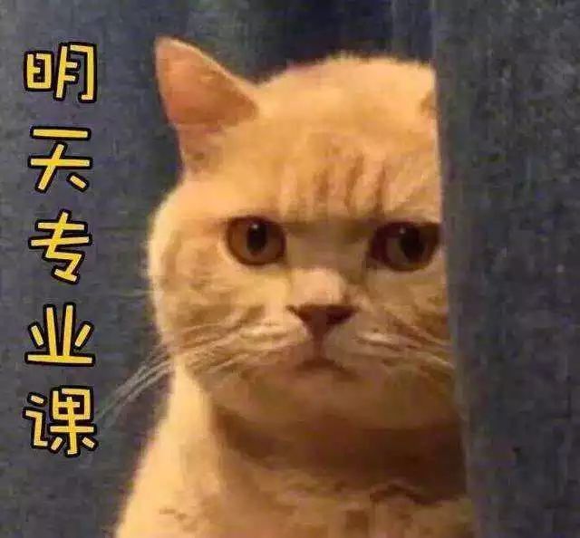 071f8073255a823d1e41763bbf5450c3.png