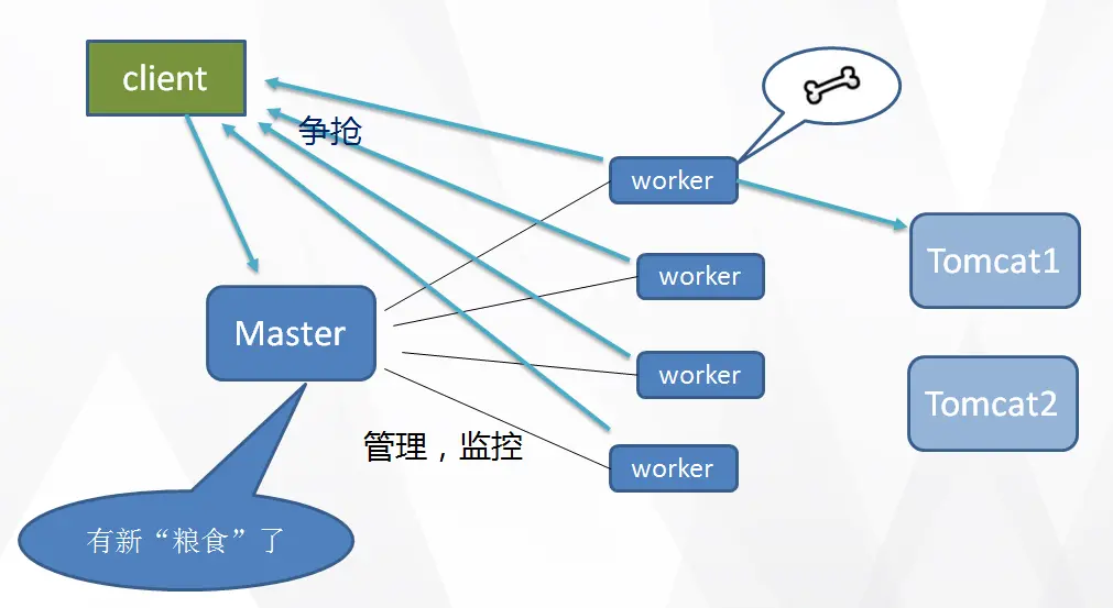 9193428-d61a5b963cfefb23.png
