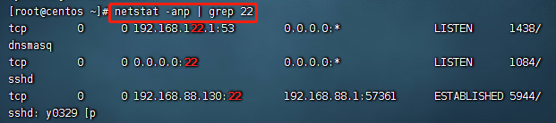 image-20230507181034061