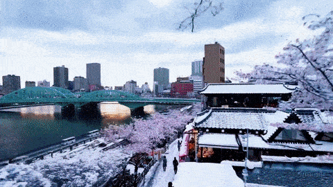 387f963d3992517d3cd687a30eea6757.gif