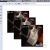HTML5 Canvas绘图如何使用