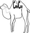 bg2007061201-thumb.jpg
