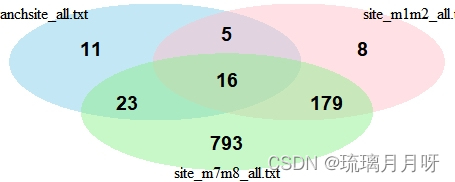 （23）用R做花瓣图和在线网站upset图_upset图在线绘制-CSDN博客