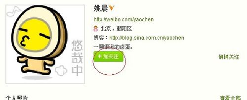新浪微博怎么加好友|加关注|新浪微博怎么加人呢