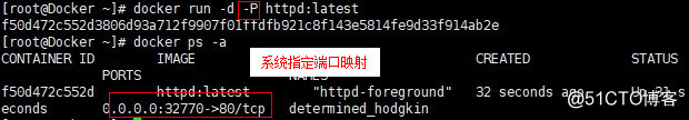 Docker的镜像创建、数据管理及网络通信