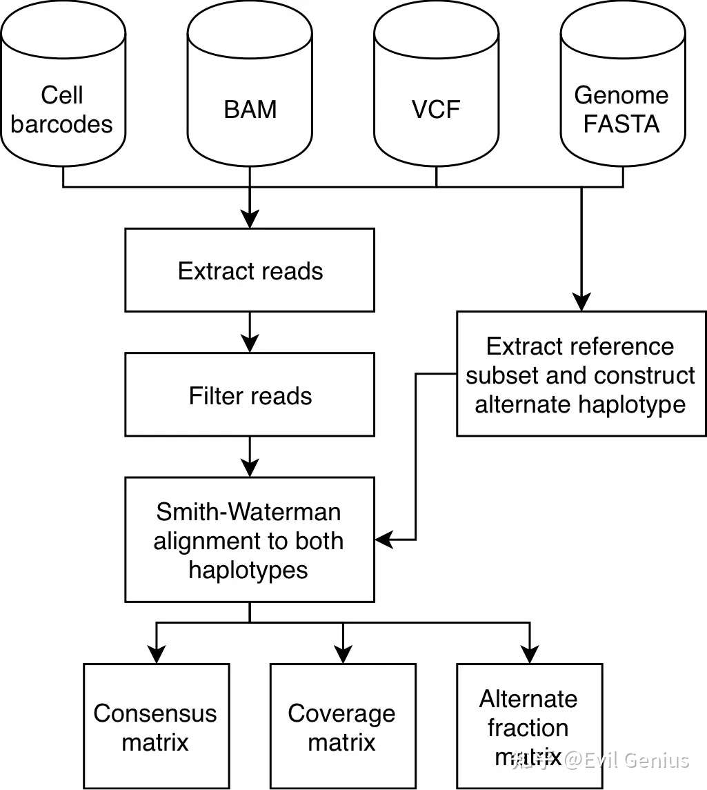 课后补充--关于单细胞突变联合inferCNV的分析_infercnv 得分-CSDN博客